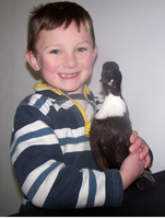 Best Junior Handler, Thomas Reed.png, photo courtesy PoultryNI.com